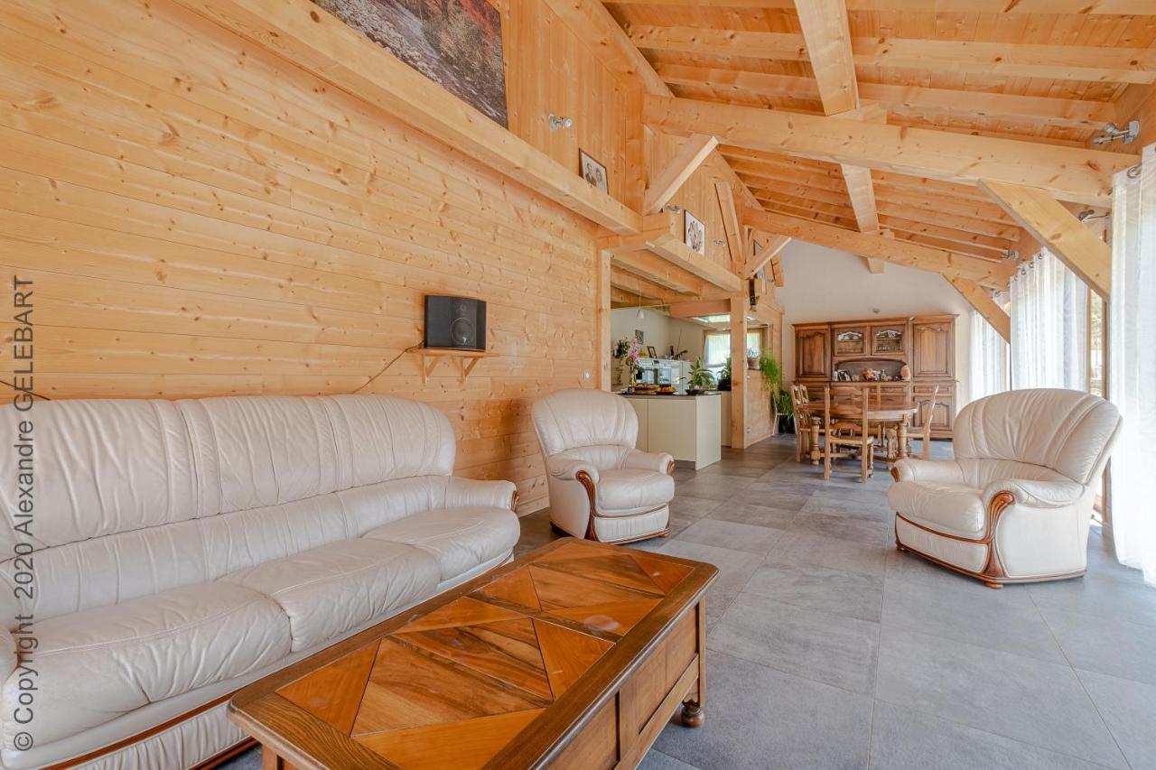 Chalet Aux 3 Biches Mieussy エクステリア 写真