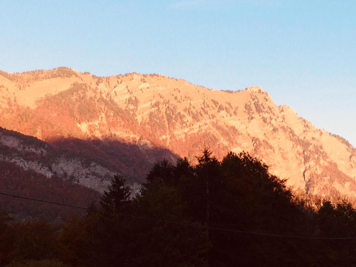 Chalet Aux 3 Biches Mieussy エクステリア 写真