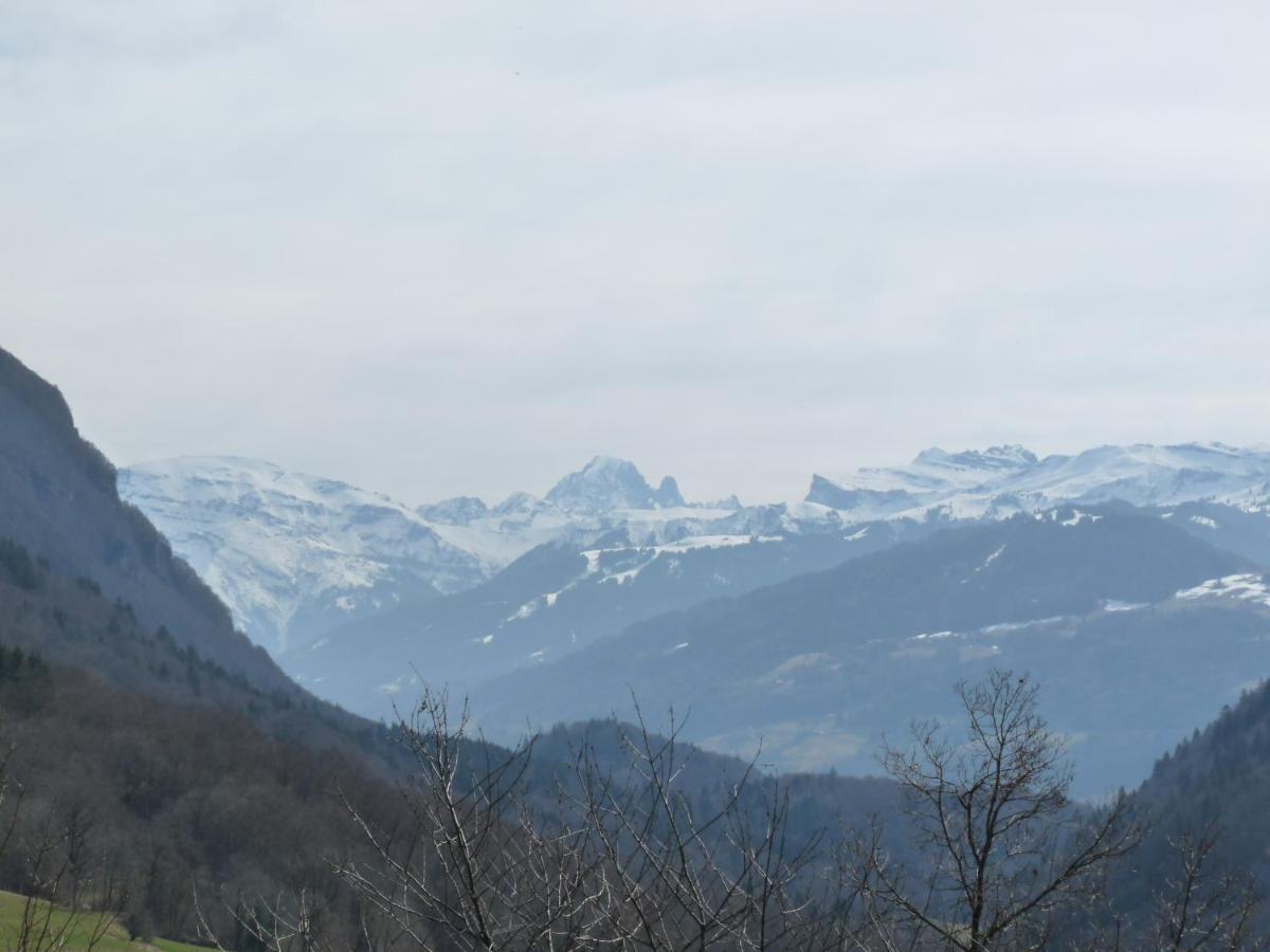 Chalet Aux 3 Biches Mieussy エクステリア 写真