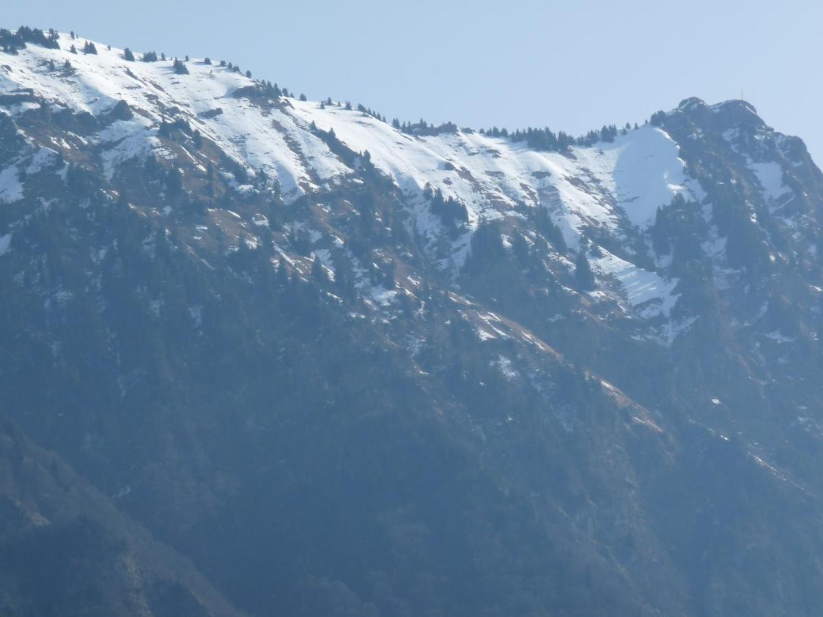 Chalet Aux 3 Biches Mieussy エクステリア 写真